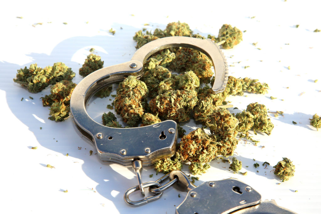 Cannabis-Knospen und ein Paar silberne Handschellen