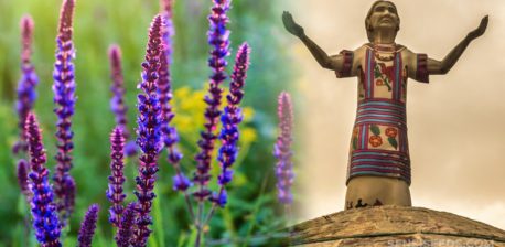 Planta de divinorum de Salvia y una estatua de madera.