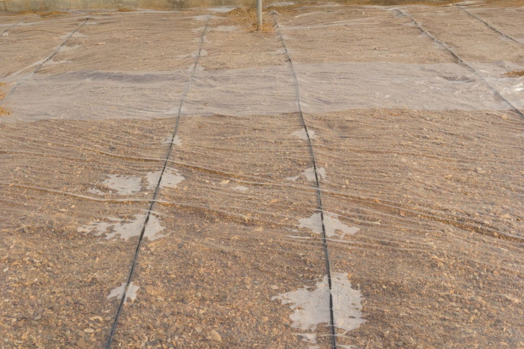 A sheet of plastic covering an expanse of soil