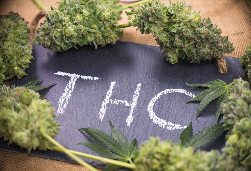 THC orthographié sur une planche entourée de fleurs de cannabis