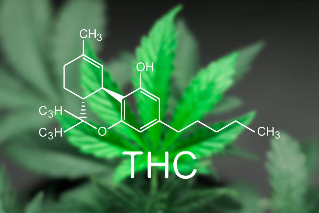 Een chemische formule van THC tegen de wazig cannabis bladeren achtergrond