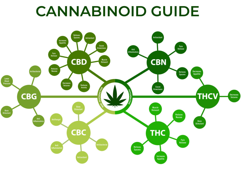 A diagram of different cannabinoids