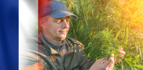 The French flag and a man in a cap inspecting a cannabis plant