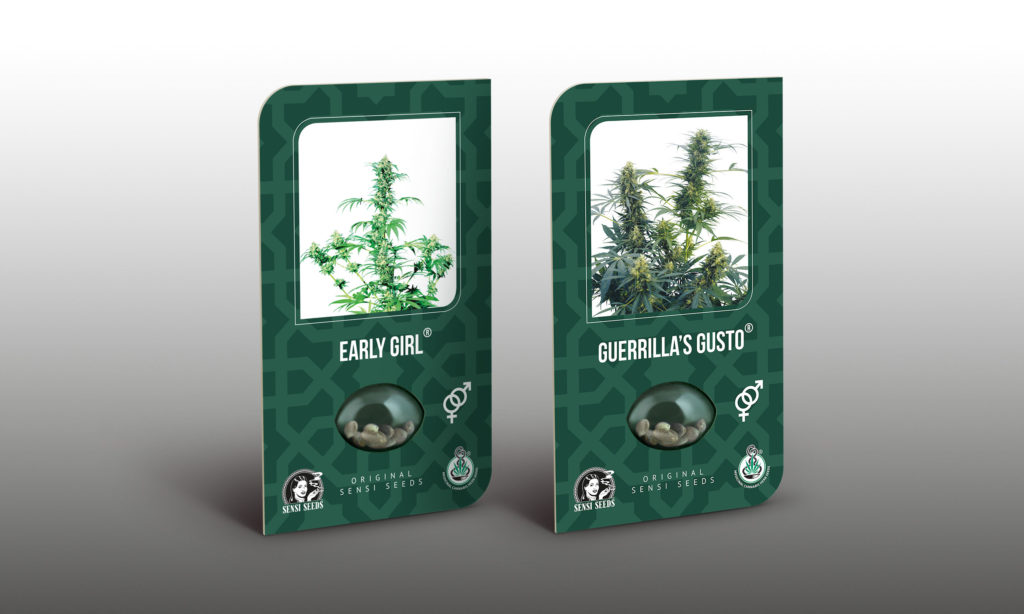 Early Girl en Guerilla's Gusto Cannabis Seeds Packs