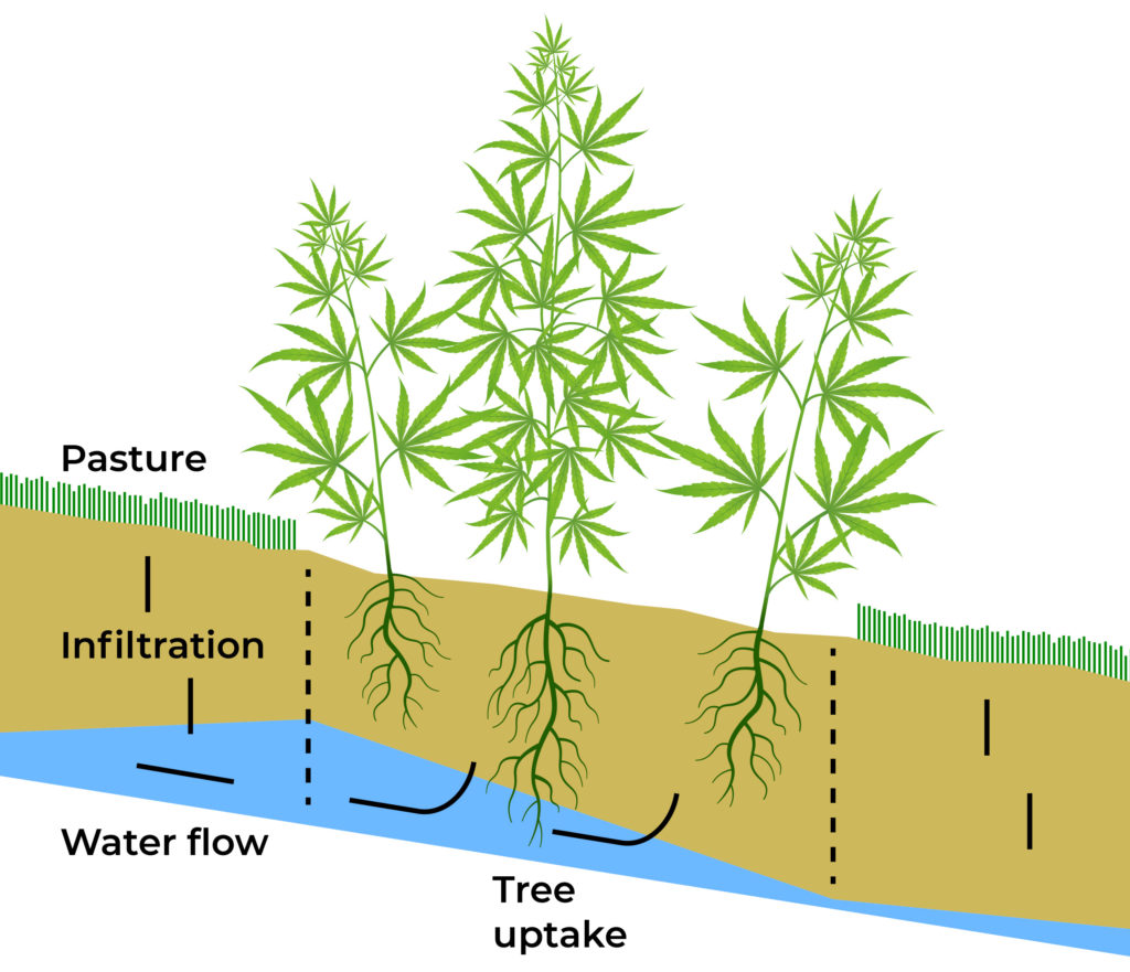 A graphic of the components needed for a healthy plant to grow