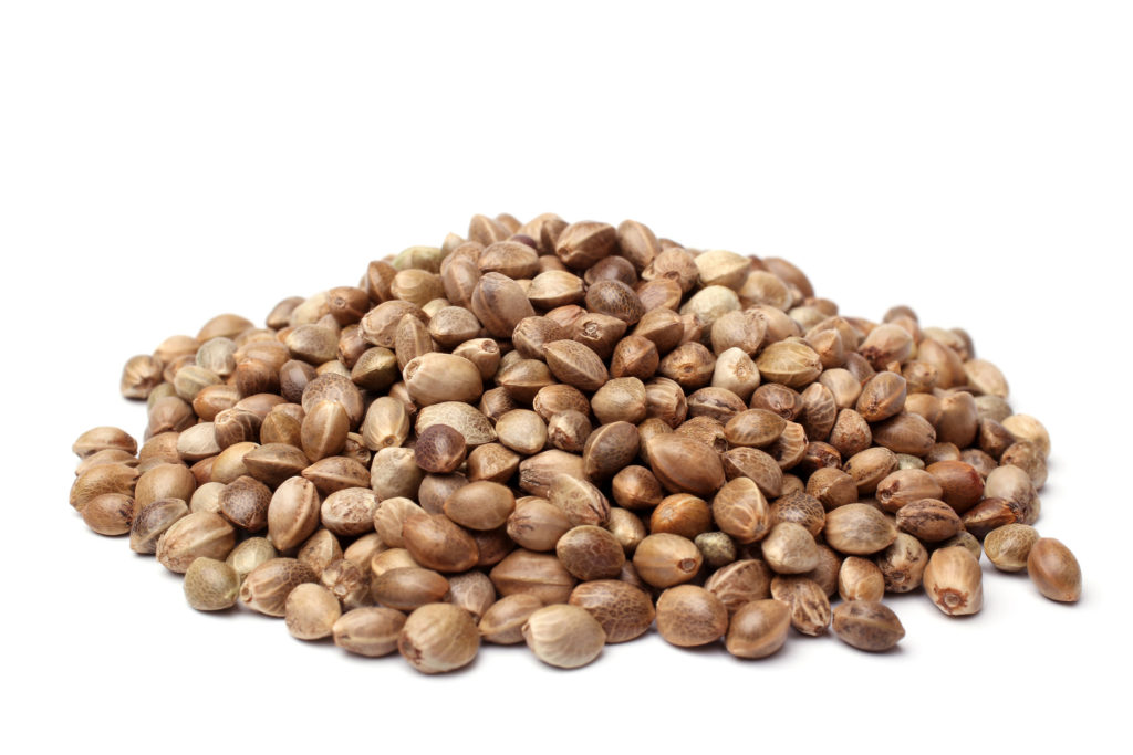 Stacked hemp seeds against the white background