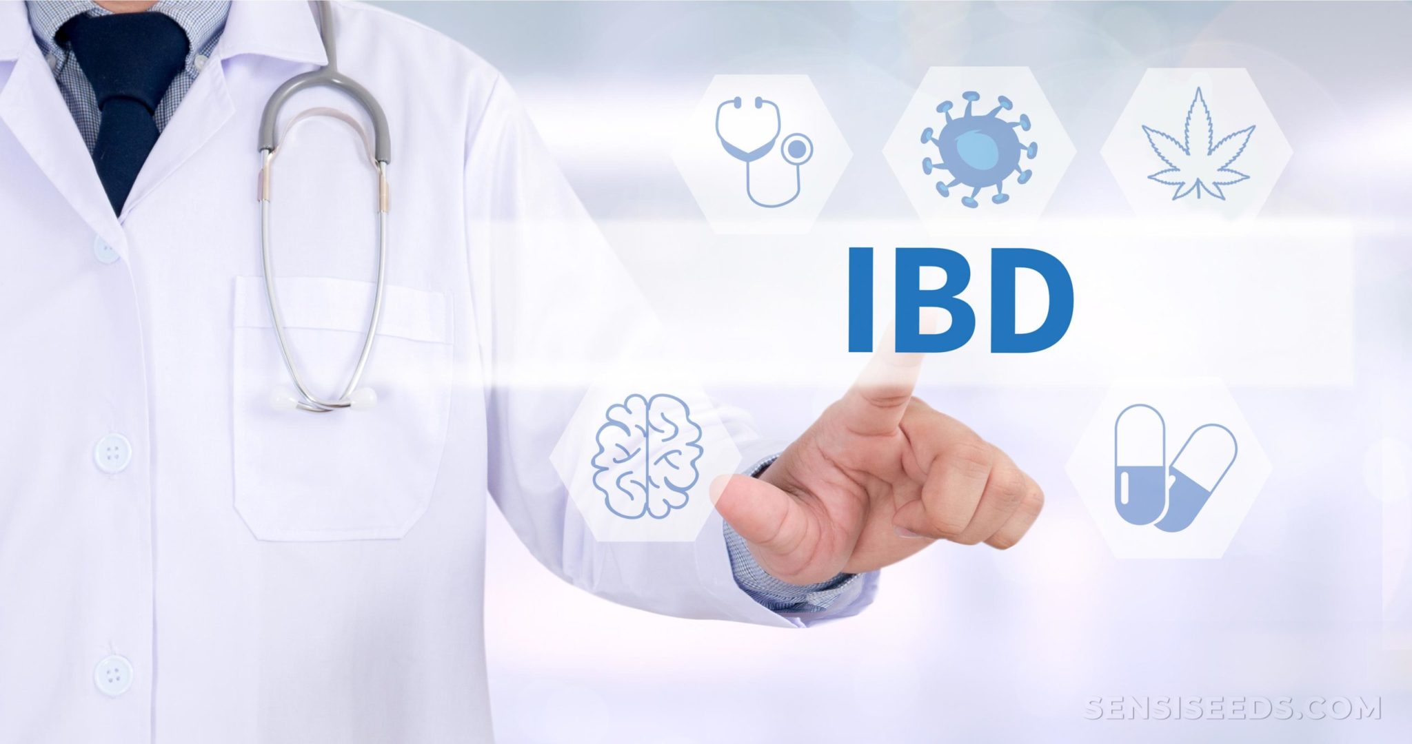 Does Cannabis Help Or Harm IBD (Inflammatory Bowel Disease)? - Sensi Seeds