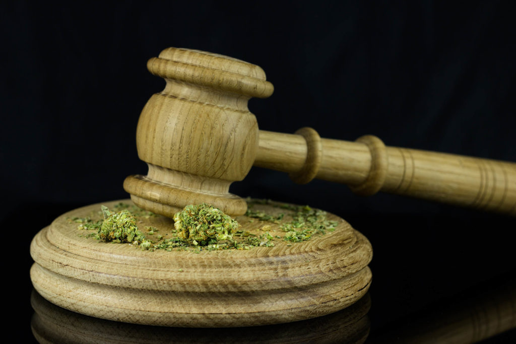 A wooden gavel with cannabis on it