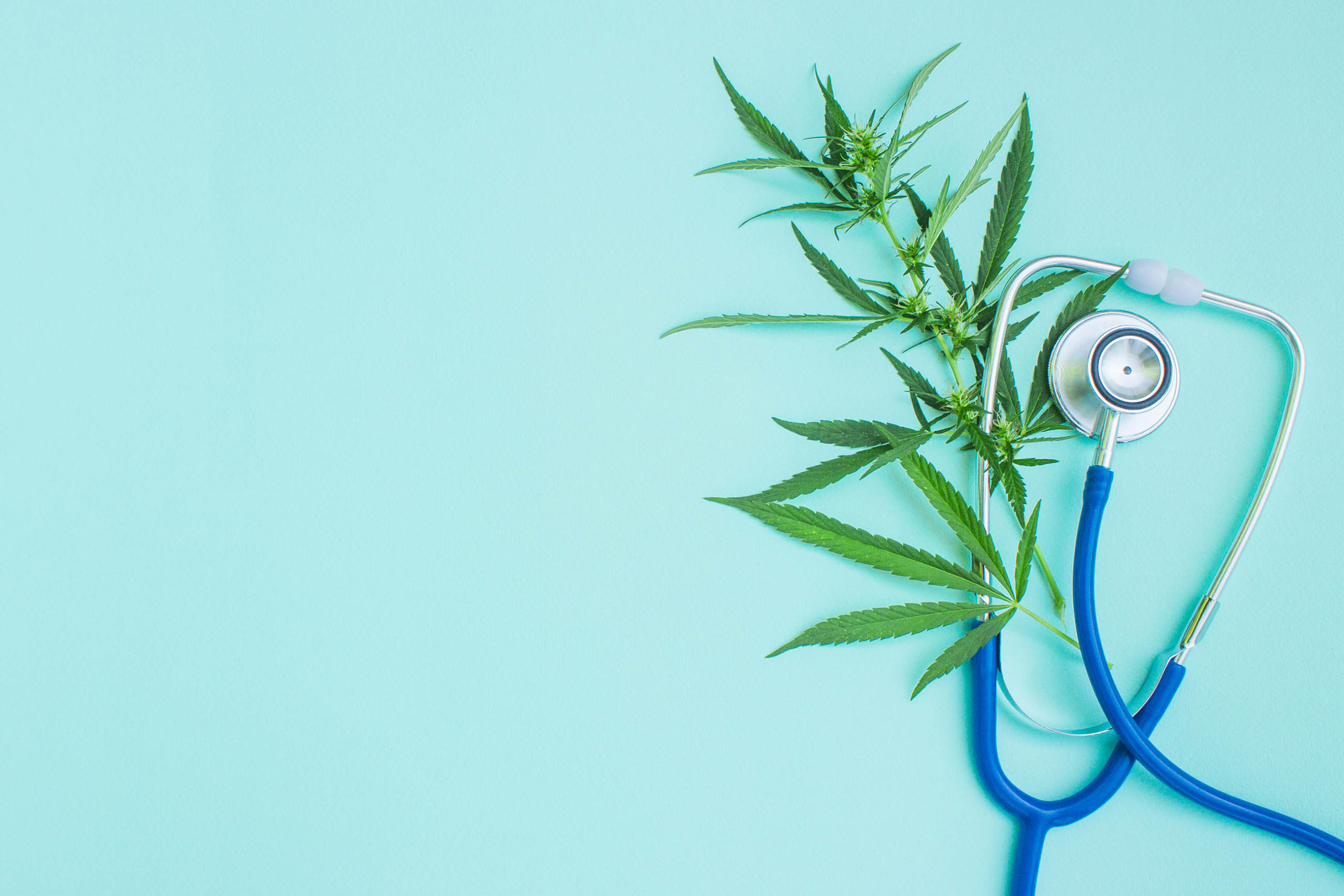 Un stéthoscope et des feuilles de cannabis contre un fond bleu