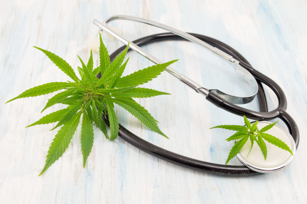 A stethoscope and cannabis leaves