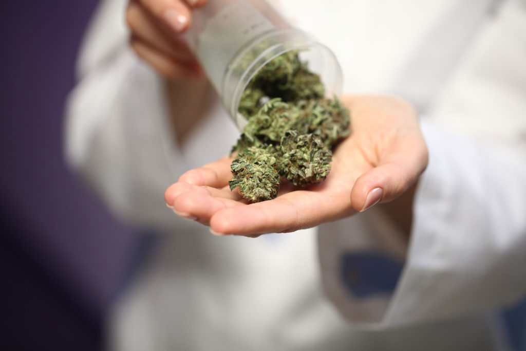 A doctor pouring cannabis buds out of a container into her hand