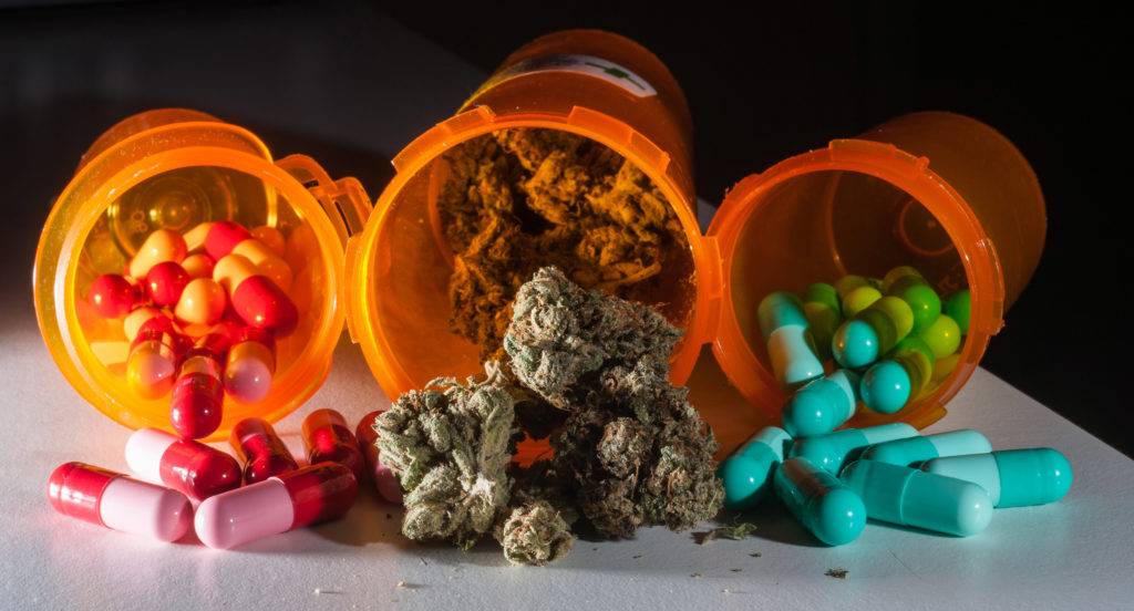 Botellas de opioides y cannabis herbales en el medio