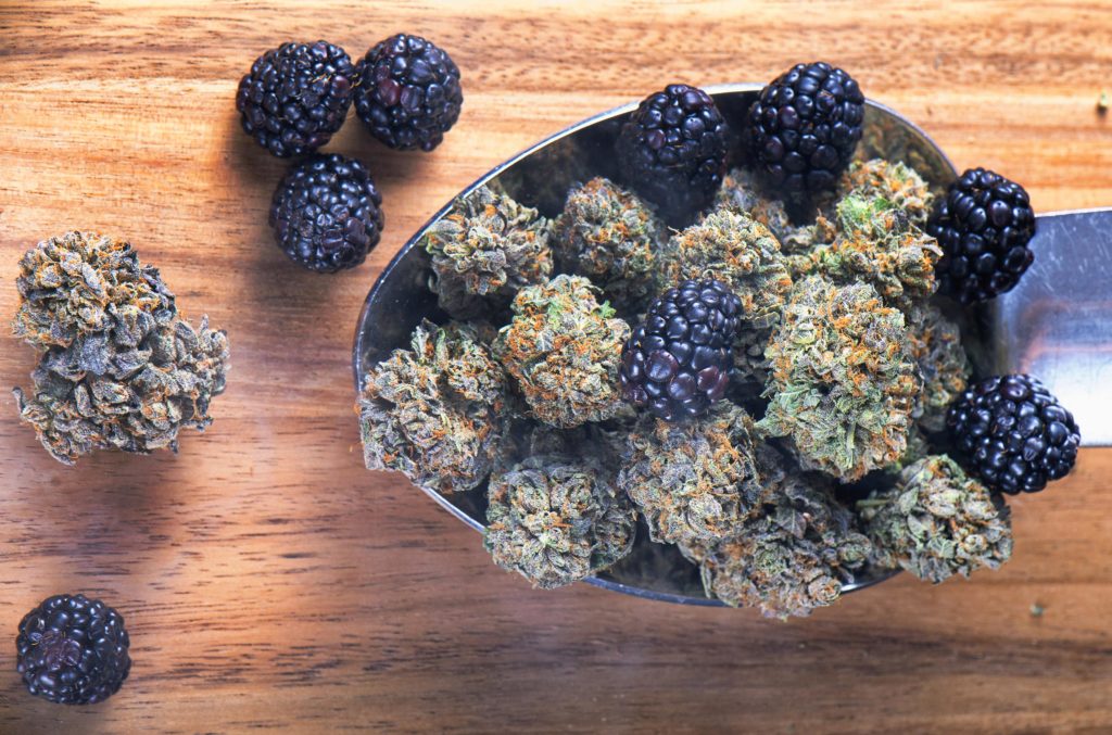 Blackberries and herbal cannabis in a bowl