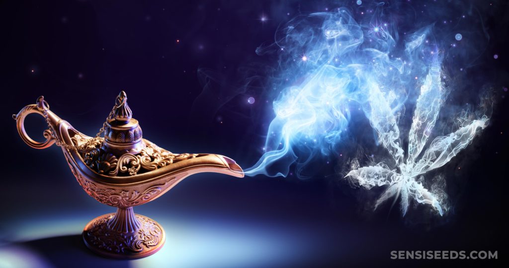 A bronze genie lamp with smoke coming from it in the shape of a cannabis leaf