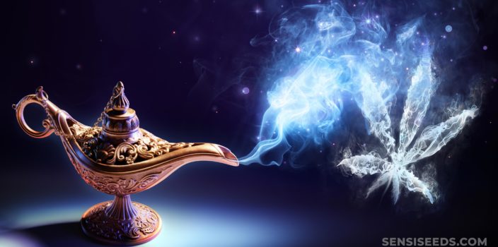 Una lámpara de bronce Genie con humo que viene de ella en forma de una hoja de cannabis.