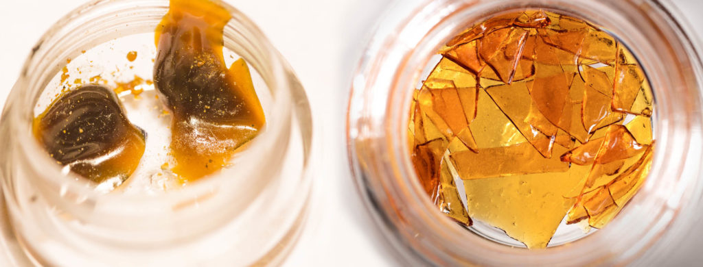 Curso Basico De Concentrados De Cannabis Cera Shatter Rosin Y Mas Sensi Seeds