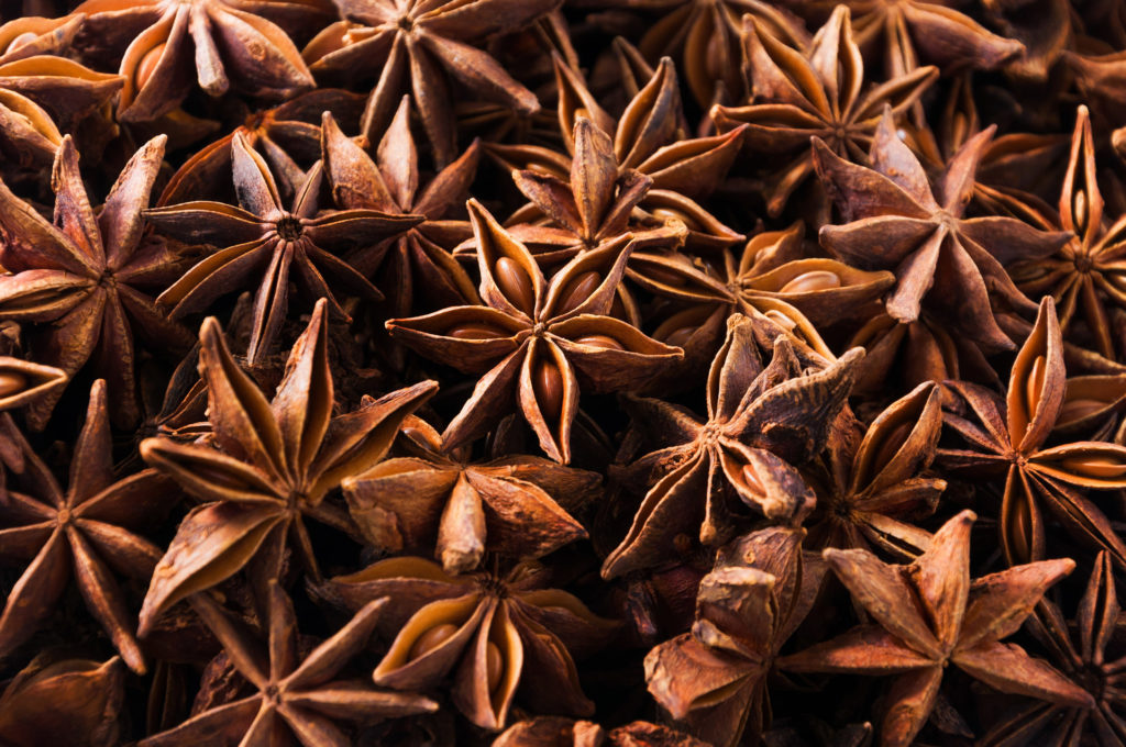 Anise flowers and seeds stacked together