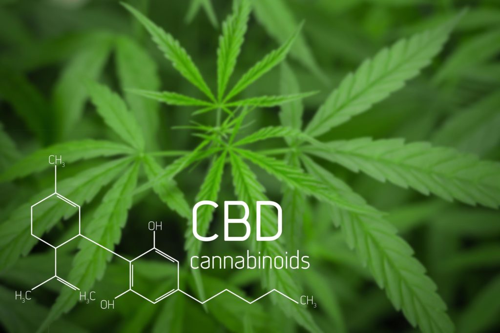 The chemical formula for CBD with cannabis plants in the background