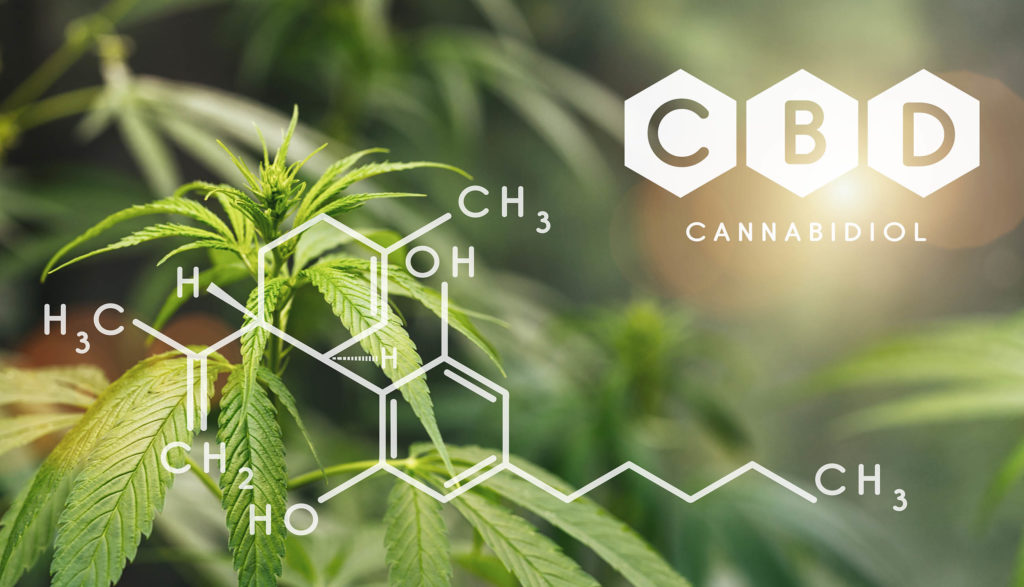 A CBD chemical formula and cannabis plant against the background