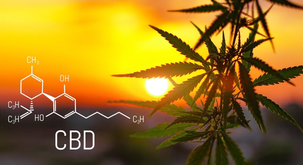 De chemische formule van CBD en een cannabisplant tegen een zonsondergang