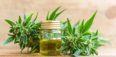 A jar with CBD oil and cannabis plants