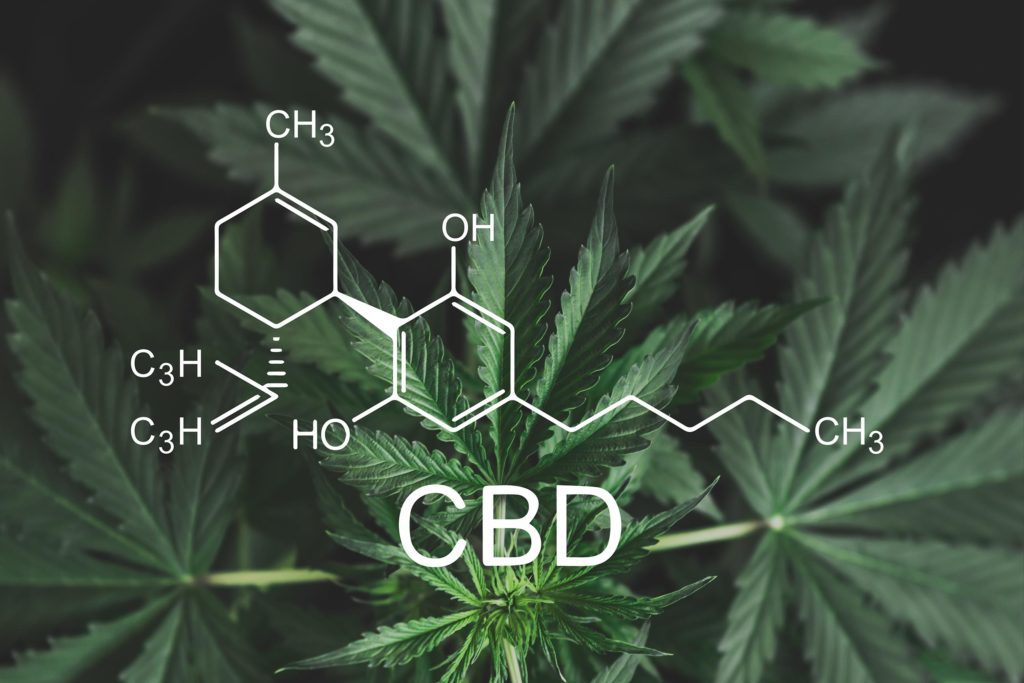 The chemical formula of CBD and a cannabis plant