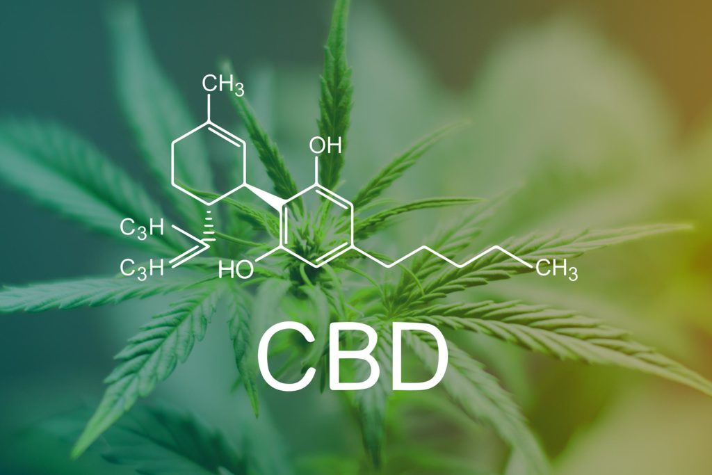 De chemische formule van CBD tegen een cannabisplant