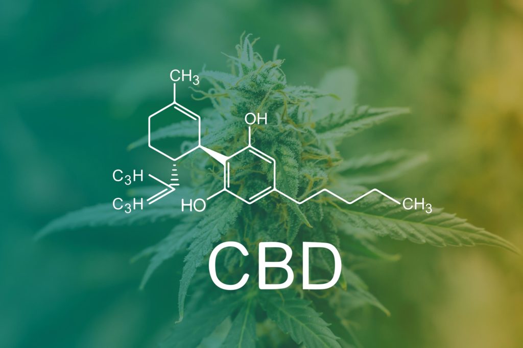 The chemical formula of CBD and a cannabis plant