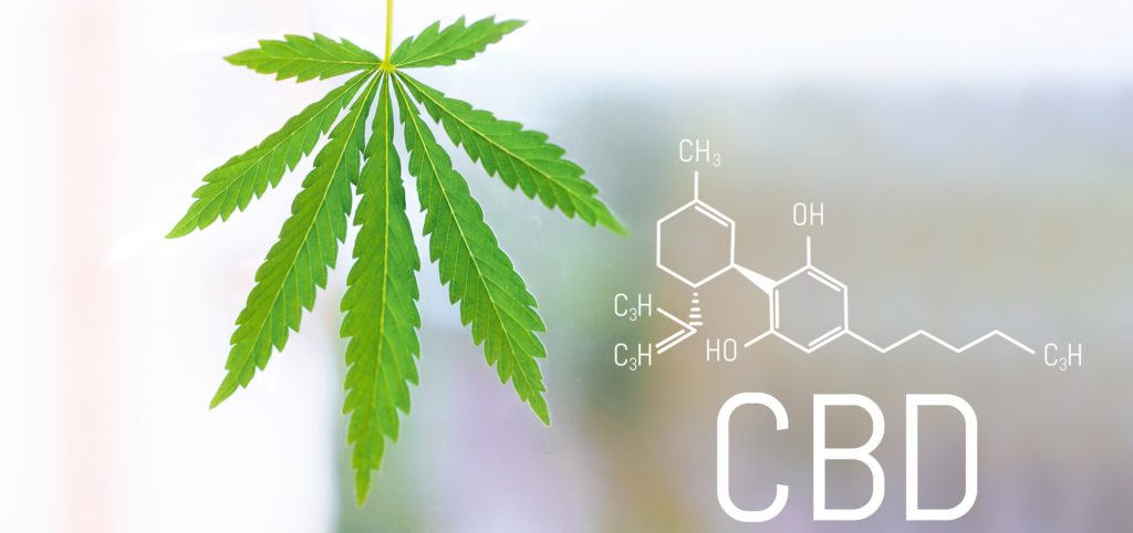 The chemical formula of CBD and a cannabis plant