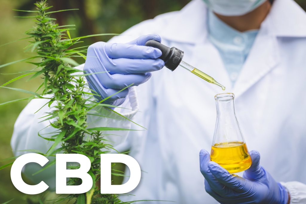 Une plante de cannabis et un scientifique tenant un pot d'huile de CBD