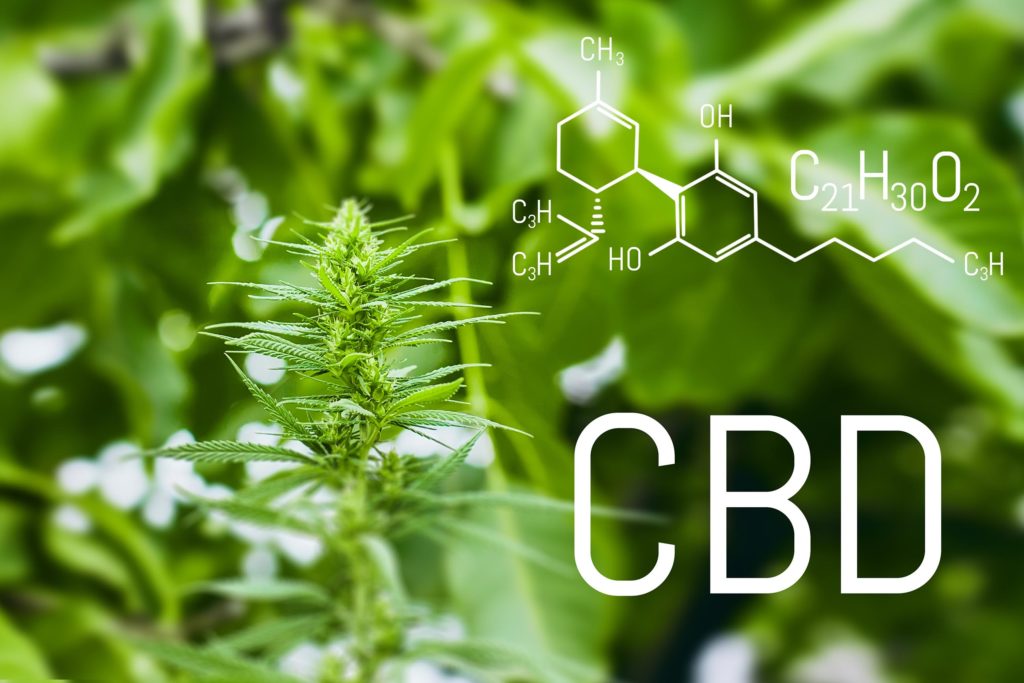 La formule chimique de la CBD et une plante de cannabis