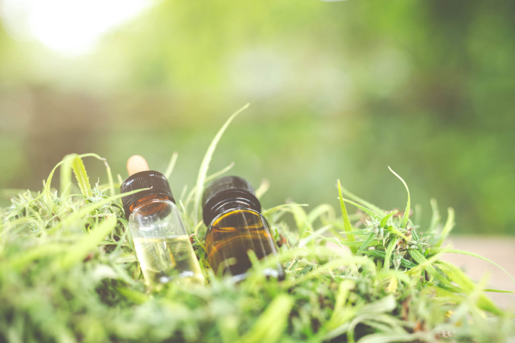 Two bottles of CBD oil laying on cannabis