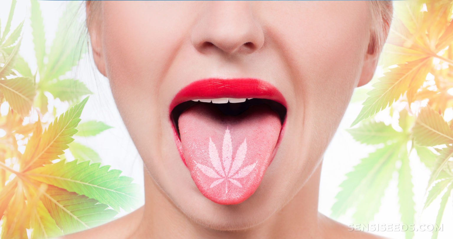 Cannabis & Dry Mouth Why It Happens and How to Solve It Sensi Seeds