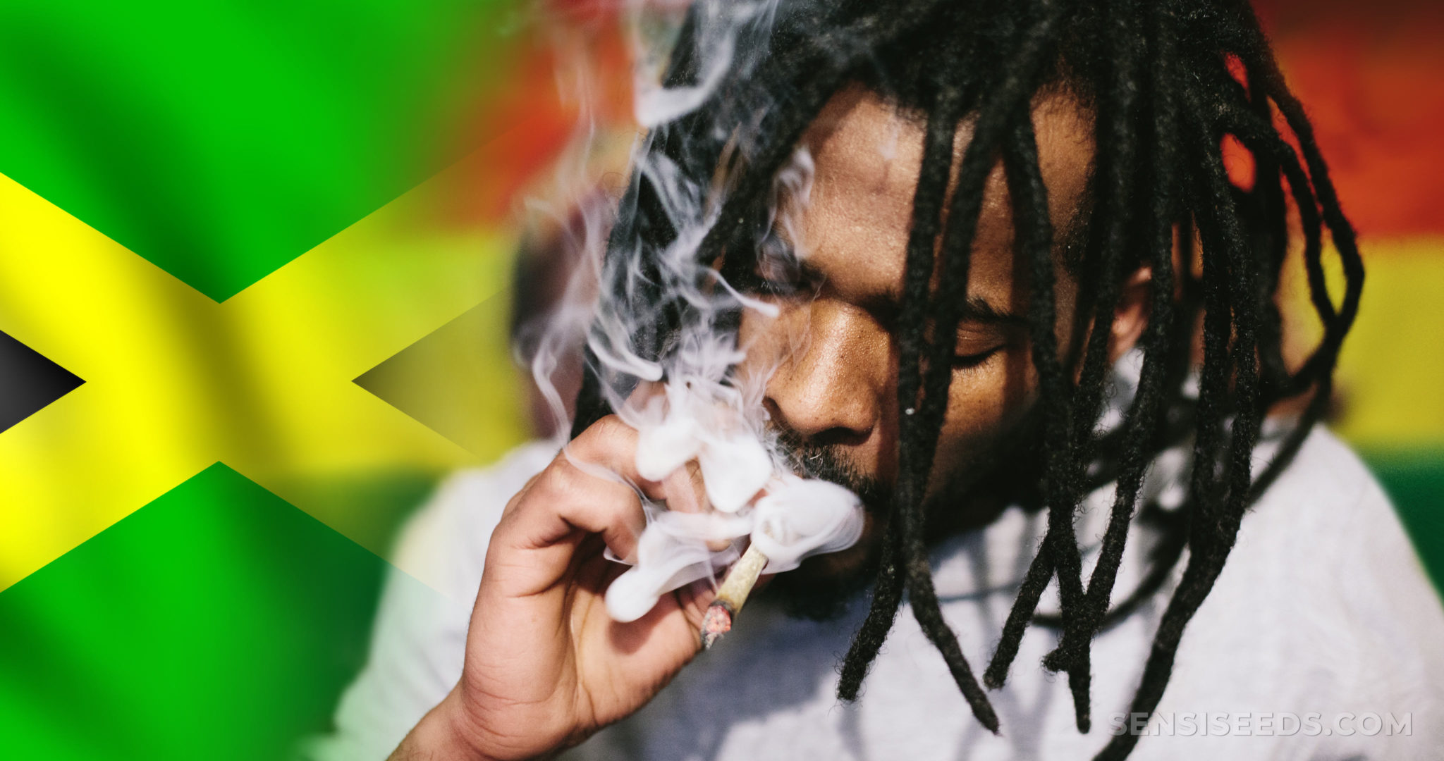 Cannabis In Jamaica Laws Rastafarians And More Info Sensi Seeds
