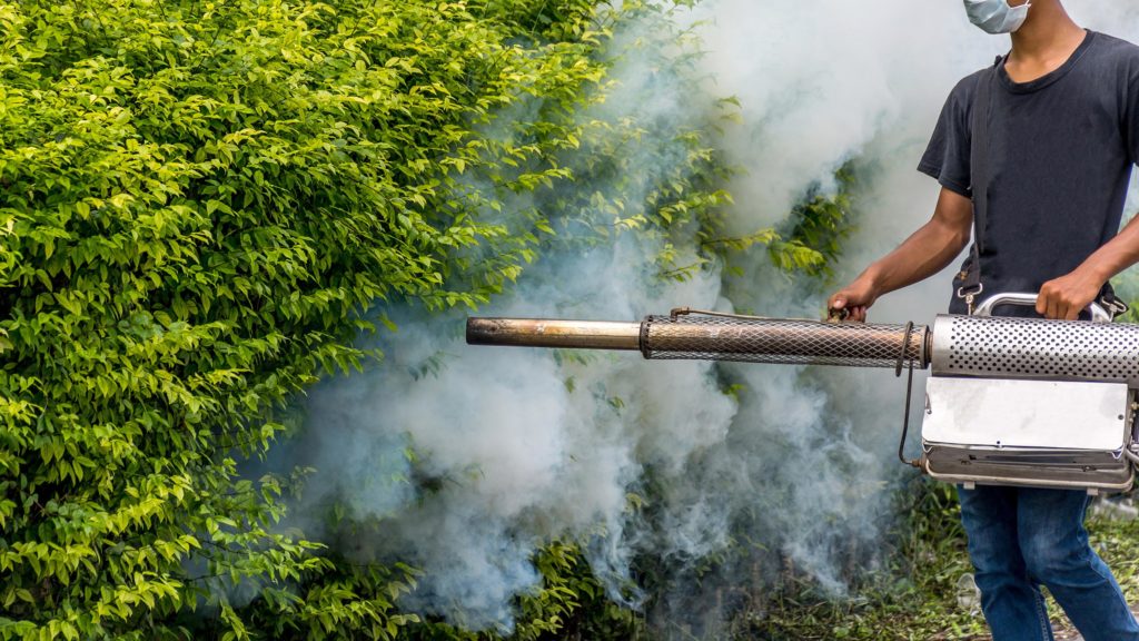 Un hombre rociando insecticidas en un arbusto.