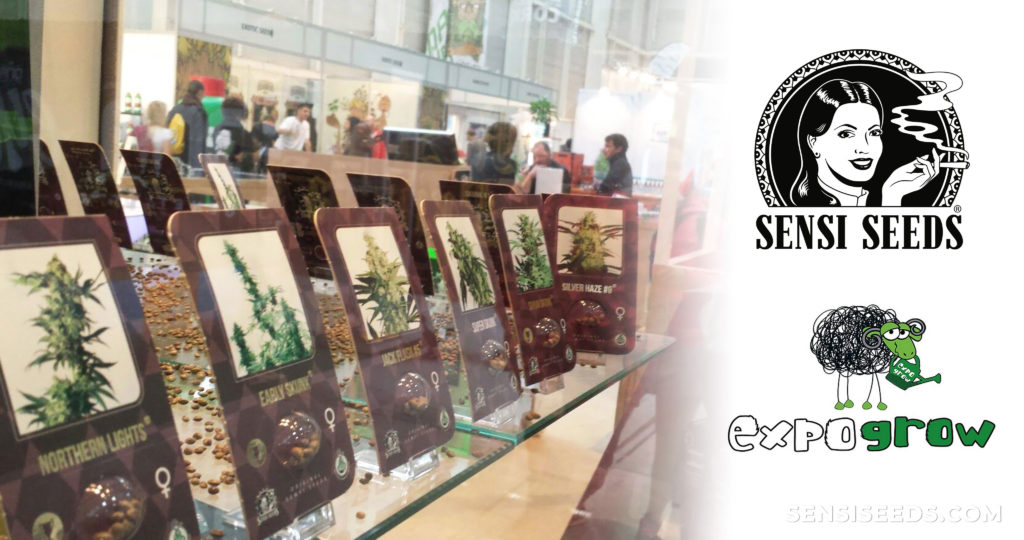 A display with cannabis products at the Expogrow