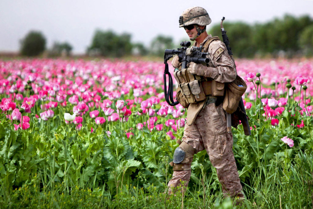 Un soldat marchant dans un pavot