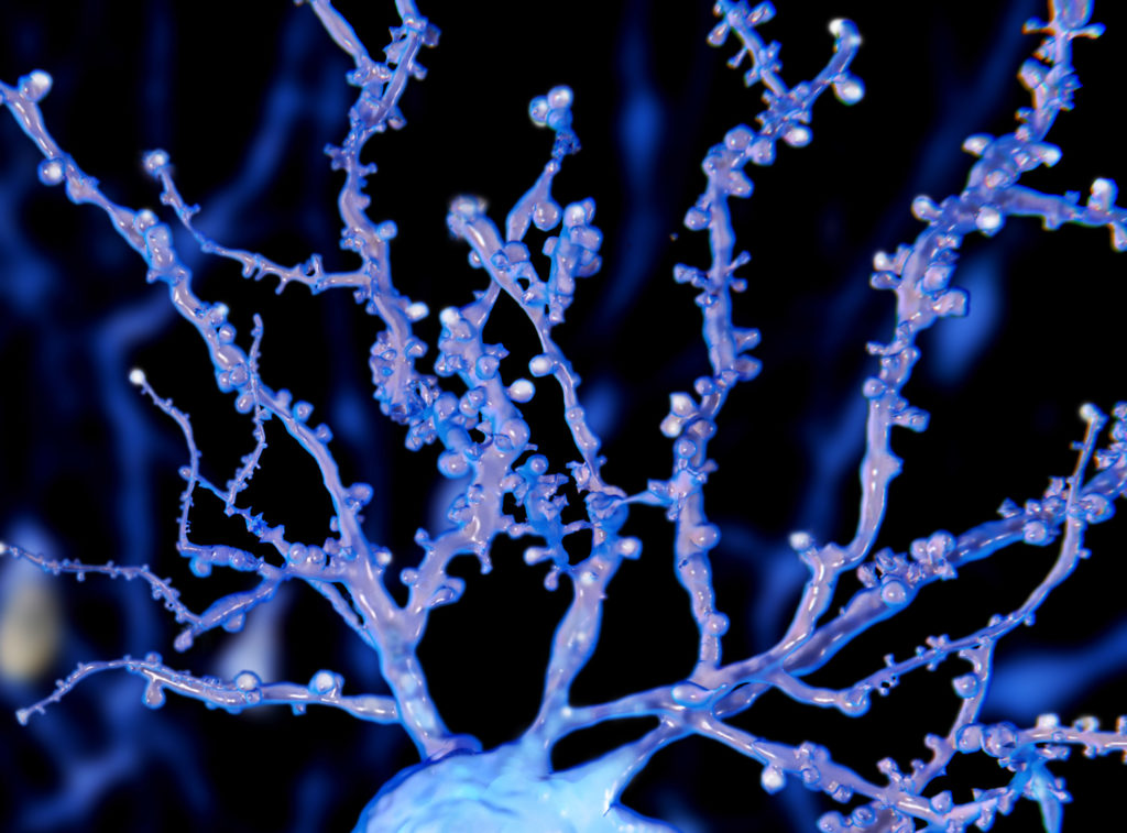 A model of Hippocampal-neuron