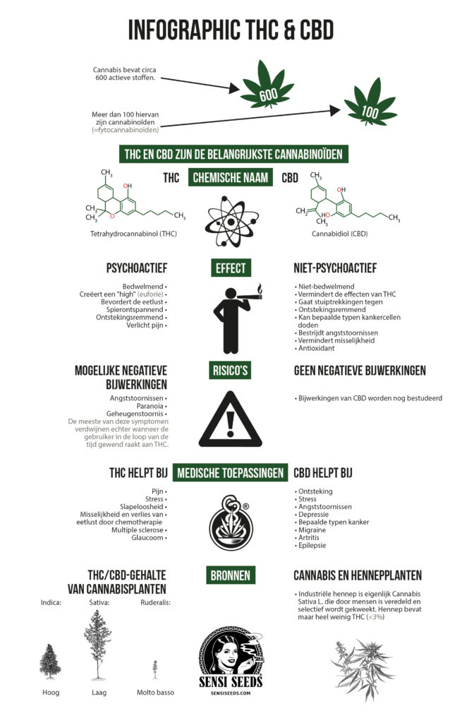 Een infographic van THC- en CBD -kenmerken