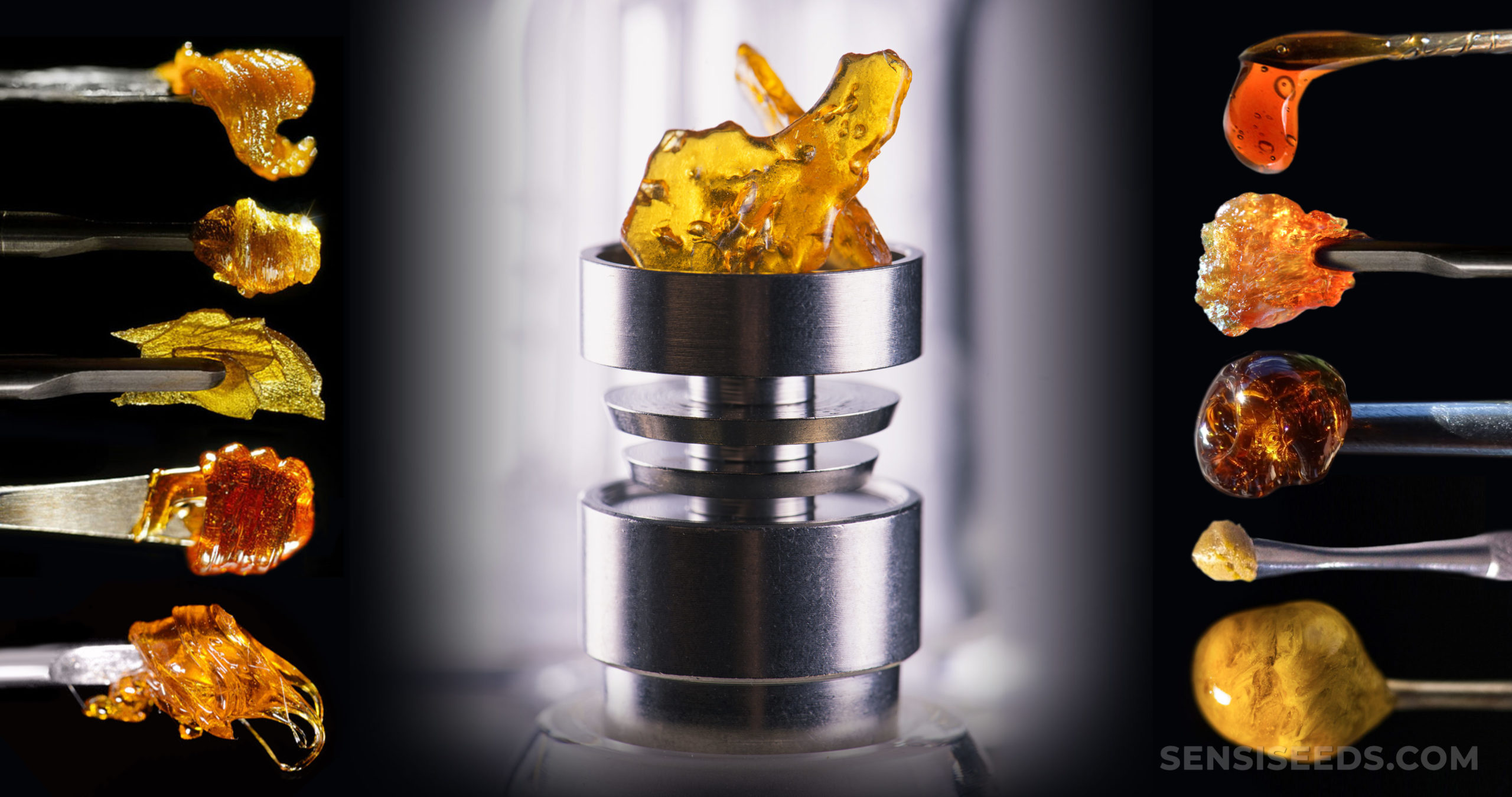Cannabis Concentrates 101 Wax Shatter Rosin More Sensi Seeds