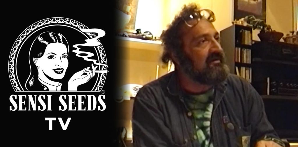 The Sensi Seeds logo and a still from an interview with Jack Herer