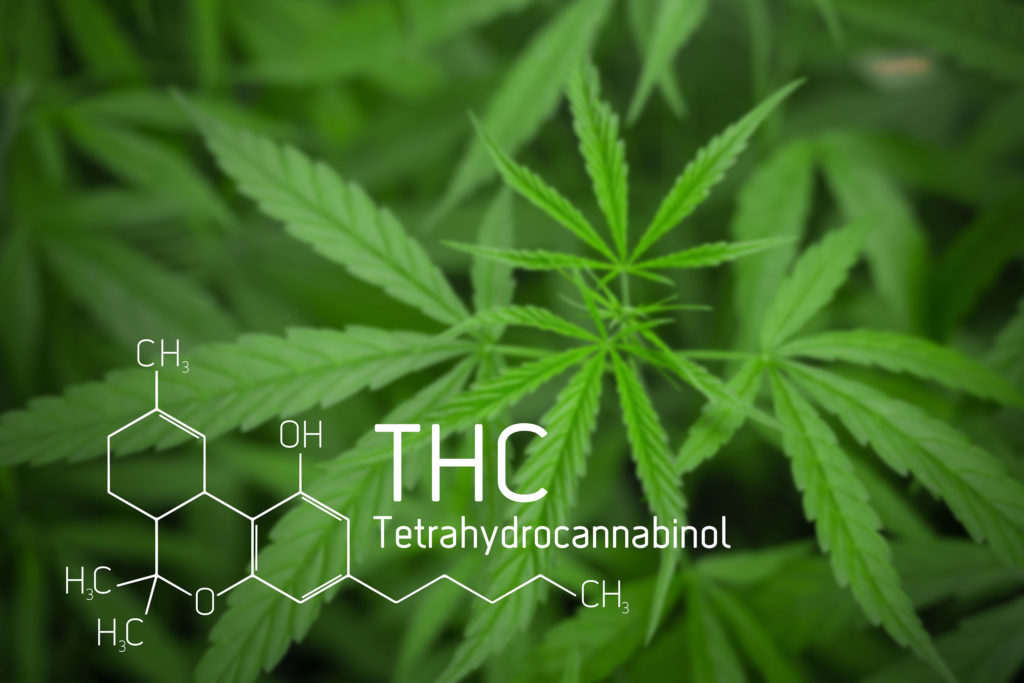 La fórmula química de THC con una planta de cannabis en el fondo.