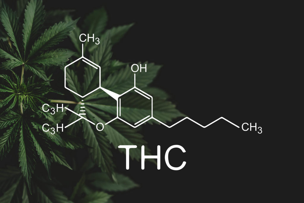 A chemical formula of THC against the cannabis plant in the background