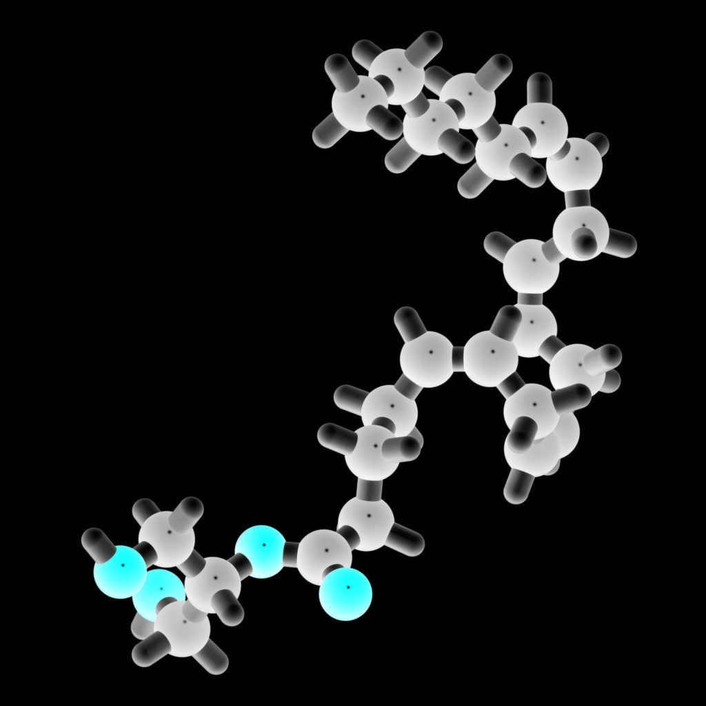 Estrutura química da anandamida e do 2-glicerol araquidonil (2-AG)