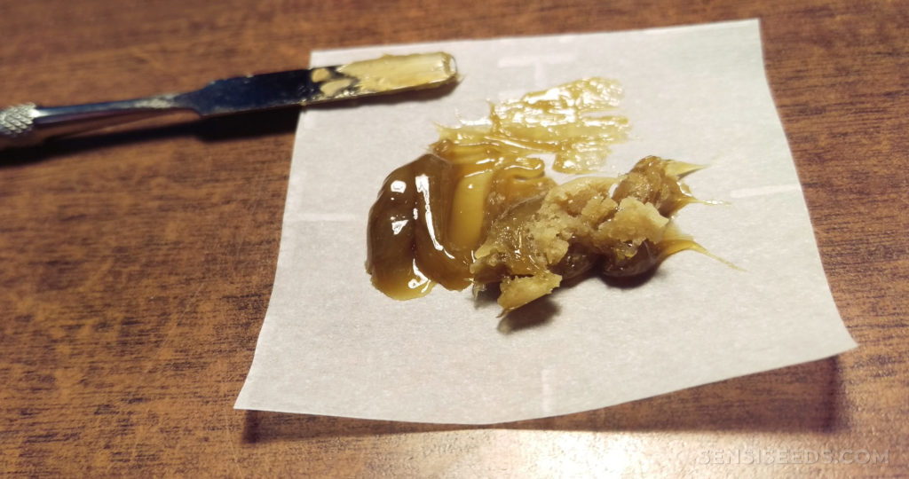 The technique of making rosin hash