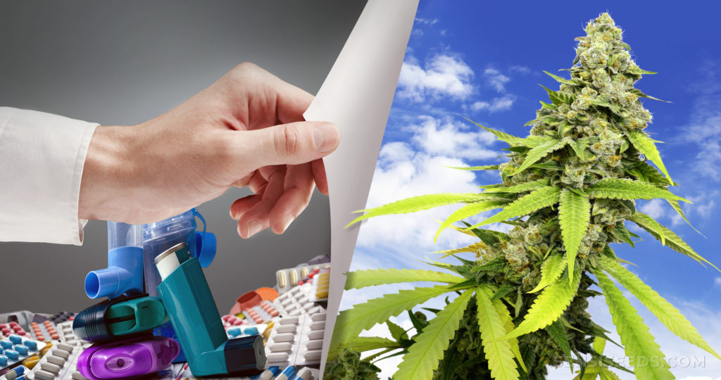 A stack of inhalers next to a cannabis plant