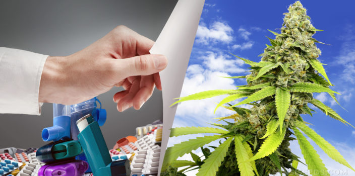 Una pila de inhaladores junto a una planta de cannabis.
