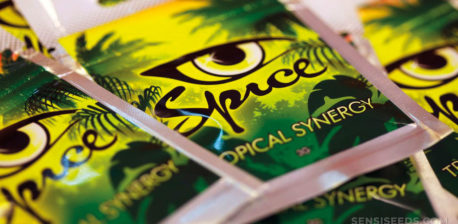 Packs de synergie tropicale à épices empilées