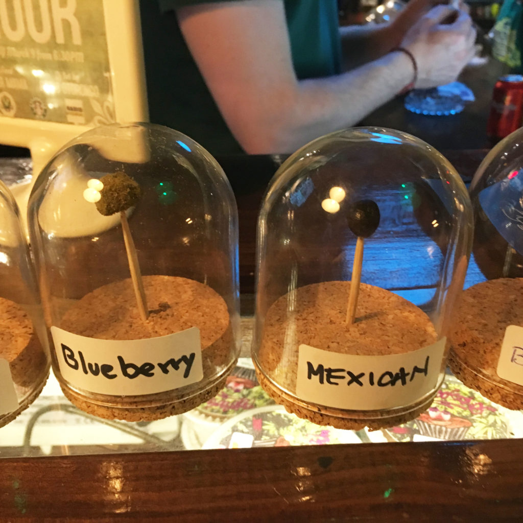 Various types of dried cannabis in glass bells 