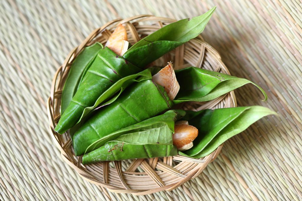 betel nut leaf